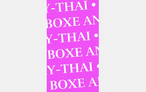 Snce privavec Clence Techniques Muay-Thai et renforcement musculaire Motivation 100%?